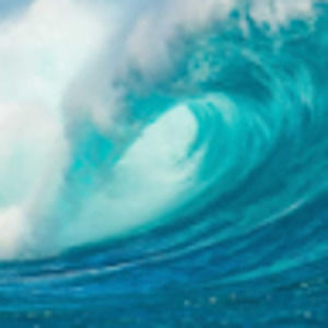 Meet your Posher, Isabella